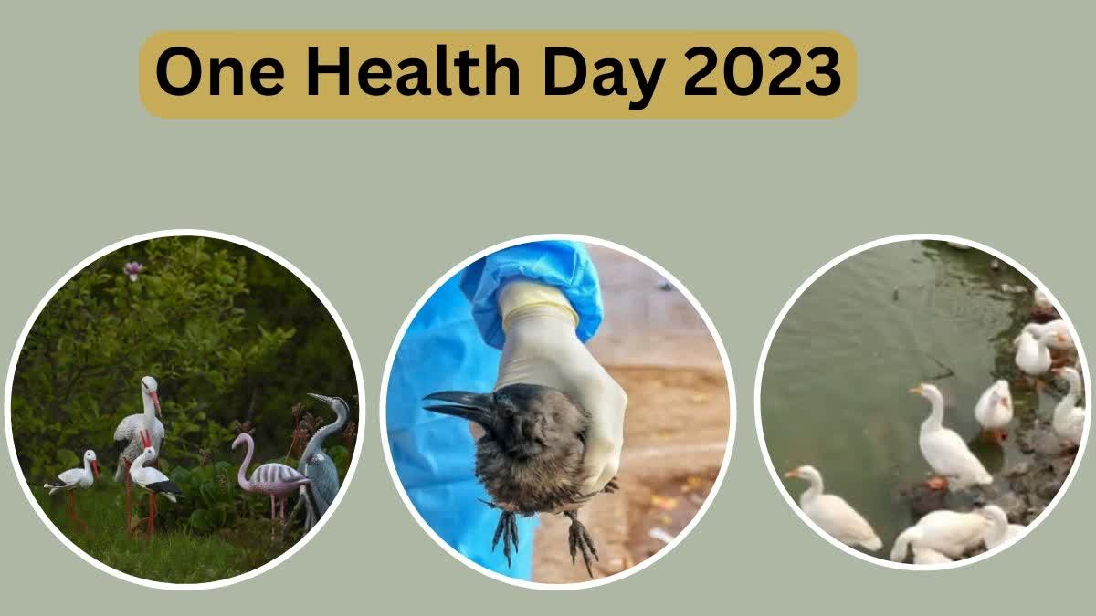 One Health Day 2023