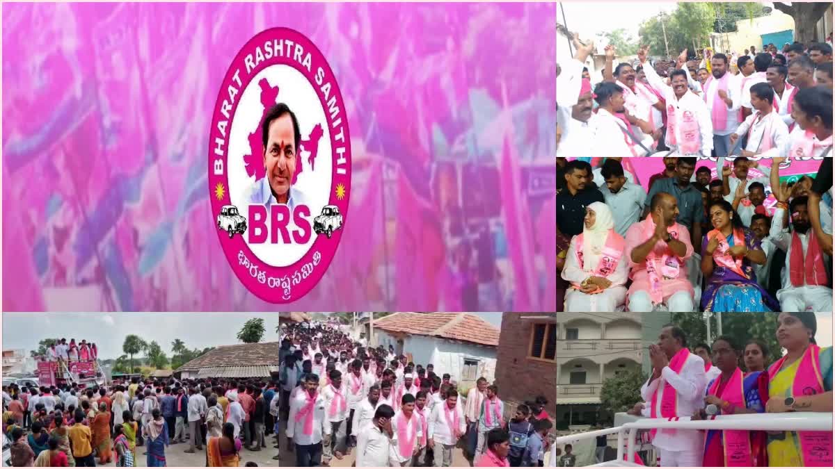 Telangana Assembly Elections 2023