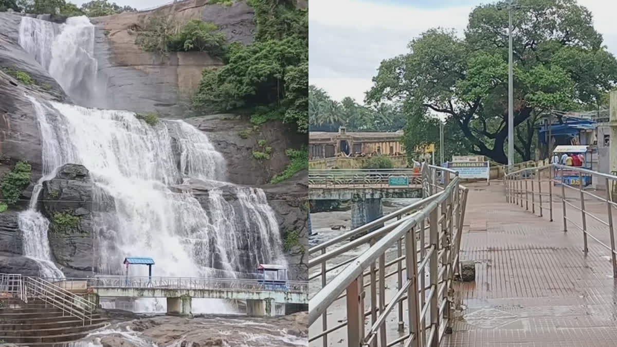 Tourists are banned due to flood at courtallam Main Falls