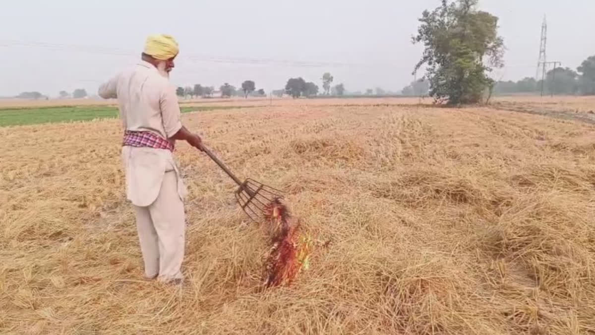 Farmers of Mansa demanded compensation for maintaining paddy straw