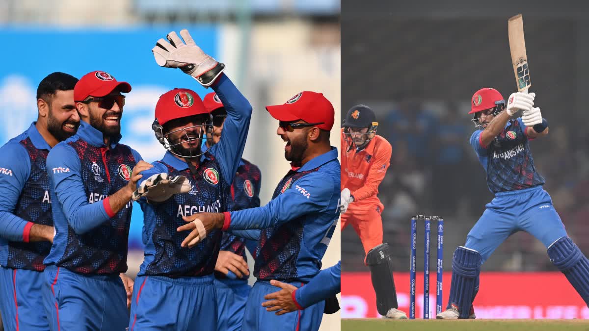 Ned vs Afg World Cup 2023