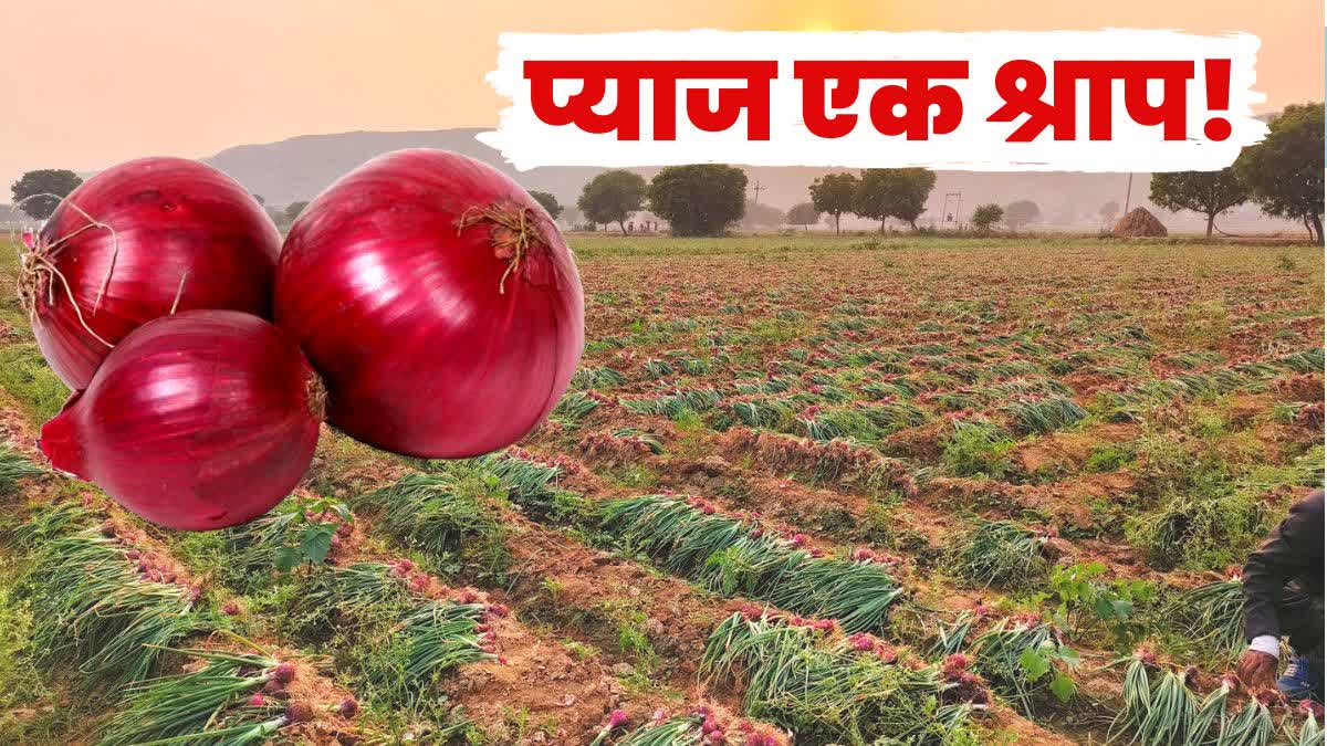 Onion Farming