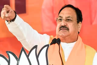 jp nadda will visit rewa today