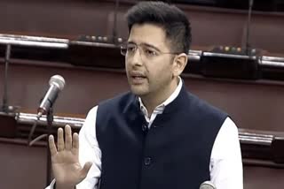 SC asks suspended RS MP Raghav Chadha