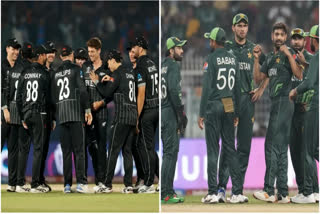 New Zealand vs Pakistan preview