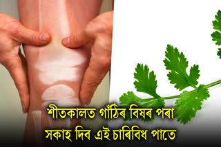 These green leaves May Reduce Joint Pain In Winters