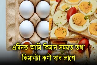 How many eggs should one consume in a day? Know what is the best time to eat