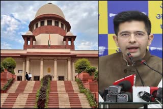 Supreme Court and Raghav Chaddha