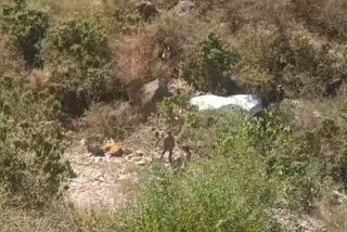 Road accident in Karsog