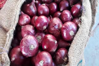 NCCF providing 2 kg onion on Aadhar card in solan