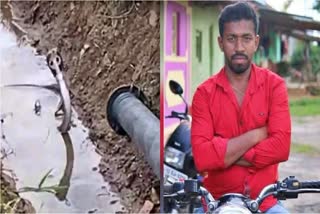 Bizarre death of farmer raises questions of snake revenge after viral provocation video  Farmer Died After Being Venomous Snakes Bitten  Snake Revenge  Venomous Snake  ഇത് പാമ്പ് പകയോ  പൈപ്പ് കൊണ്ട് മൂര്‍ഖനെ പ്രകോപിപ്പിച്ചു  പാമ്പ് കടിയേറ്റ കര്‍ഷകന് ദാരുണാന്ത്യം  കര്‍ണാടകയില്‍ കര്‍ഷകന്‍ മരിച്ചു  പാമ്പിനെ നോവിക്കല്ലെ പക