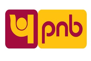 PNB Bank Big mistake