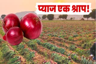 Onion Farming