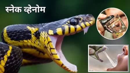 Snake venom