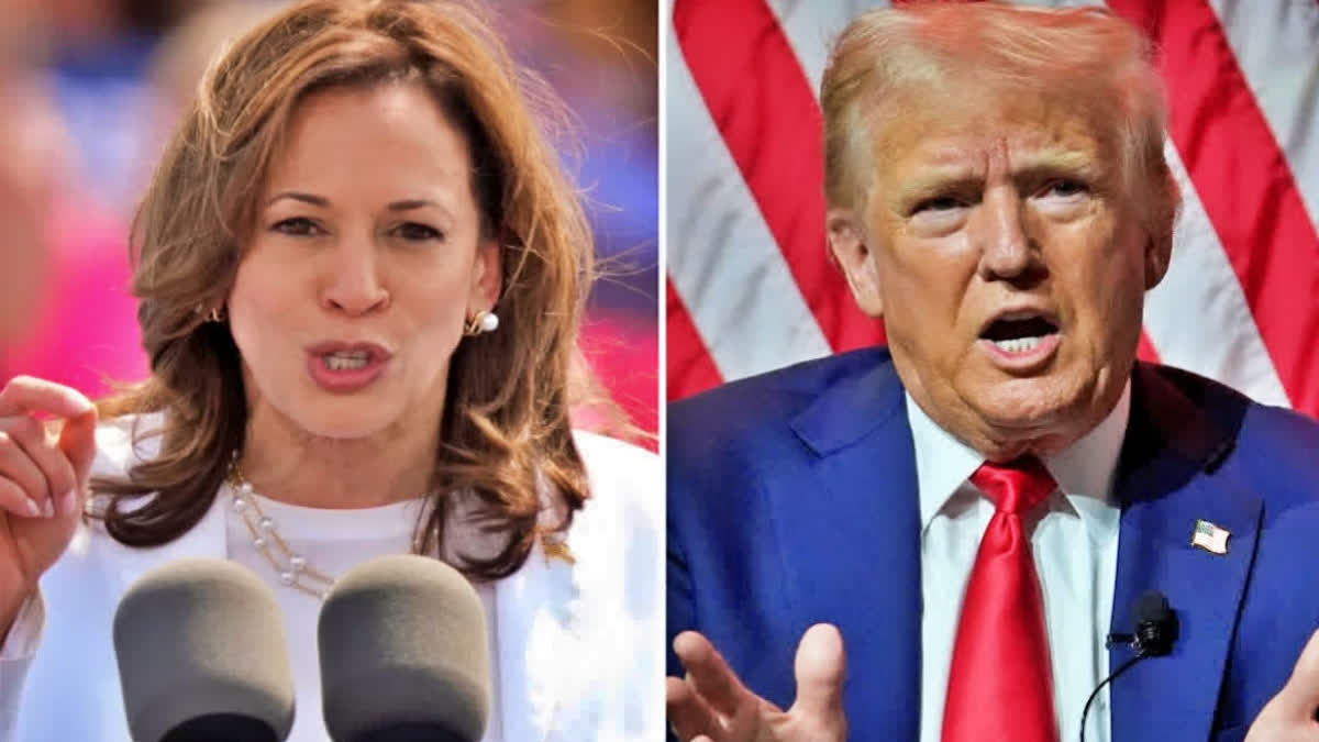 Democratic Party candidate Vice President Kamala Harris and Republican Party candidate Donald Trump.