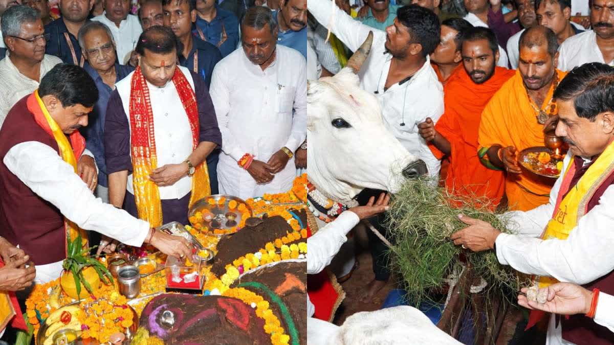 GWALIOR MOHAN YADAV GOVARDHAN PUJA