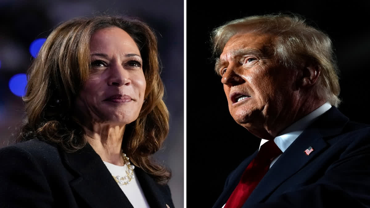 Harris And Trump Focus On Sun Belt States During Final Weekend Push For Votes