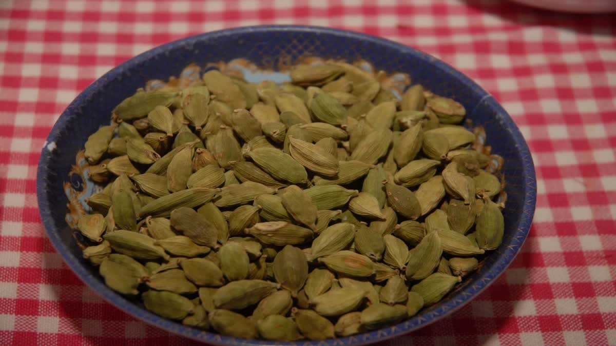 CAN WE EAT CARDAMOM DAILY