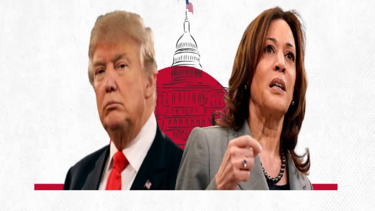 TRUMP VS HARRIS