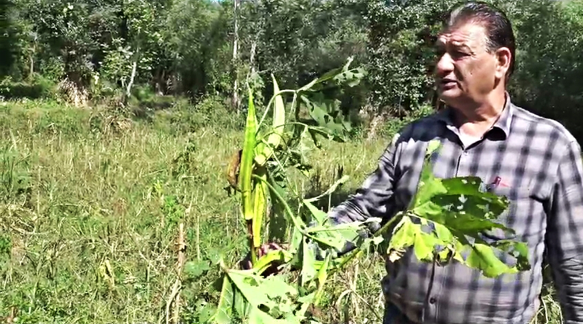 Himachal Natural Farming