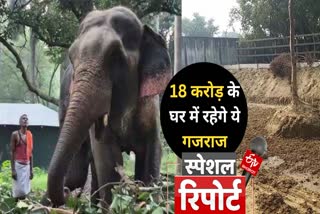 up gorakhpur zoo elephant that killed 4 people remain in enclosure worth Rs 18 crore