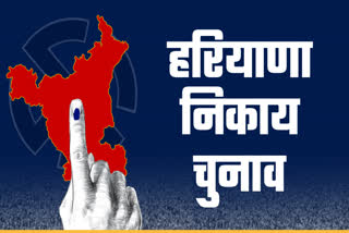 Municipal Election In Haryana