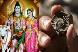 Shaligram Stone Importance