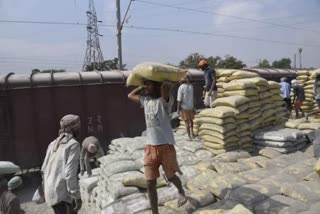 Cement Industry Faces Weak Demand, Prices Drop By 10% YoY