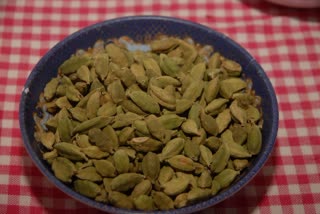 CAN WE EAT CARDAMOM DAILY