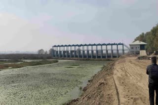 Kashmir avian airport dries