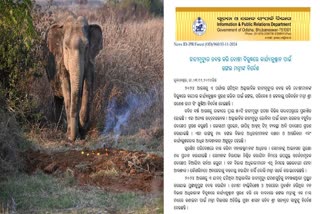 Orders Probe Into Unnatural Death Of Elephants