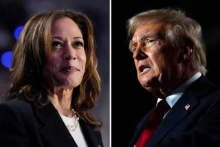 Trump Vs Harris