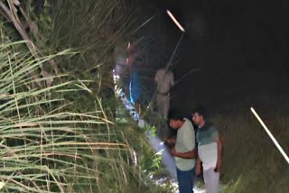 Body found from paddy field