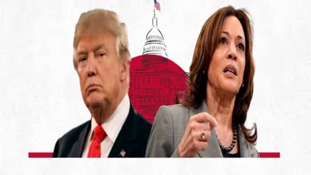 TRUMP VS HARRIS