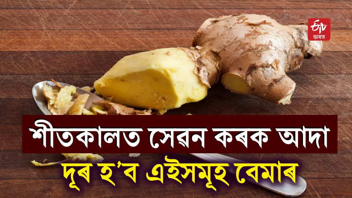 Know Ginger benefits in winter