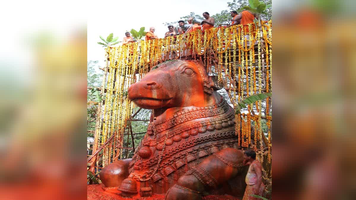 ಚಾಮುಂಡಿಬೆಟ್ಟದ ನಂದಿಗೆ ಮಹಾಭಿಷೇಕ