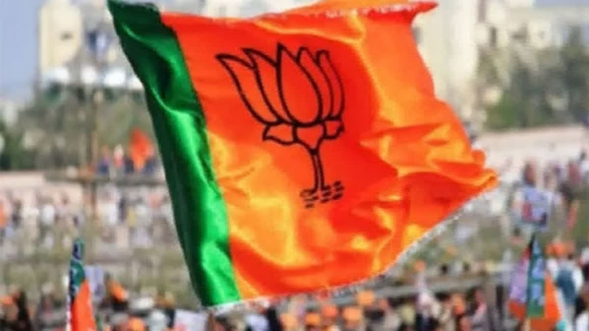 From 1 to 13 seats: BJP's rise in 5 eastern Rajasthan districts