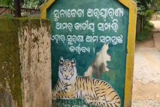 ପୁଣି ଝୁଣି ଖାଇଲା କଲରାପତରିଆ ବାଘ, ଆତଙ୍କରେ ନୂଆପଡା ଜିଲ୍ଲାବାସୀ