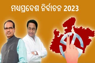 Madhyapradesh Assembly Election Result 2023
