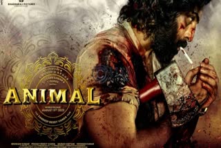 Animal 24x7 In Cinemas, Ranbir Kapoors starrer film To Screen From 530 AM To 2 AM Midnight