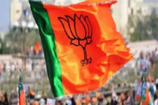 BJP leading in Rajasthan, Madhya Pradesh, Chhattisgarh in early trends; party workers celebrate