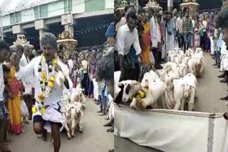 special-harake-from-a-farmer-for-male-mahadeshwara