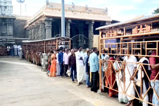 devotees waiting hours to darshan at annamalaiyar temple