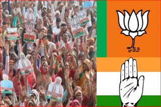 Assembly Election Result Impact on Haryana Chandigarh Haryana assembly elections 2024 Bjp Congress Haryana News