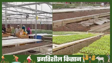 National Horticulture Mission