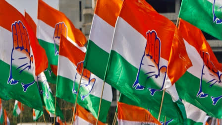 MP: Congress' Muslim candidates win from Bhopal's Central and North seats