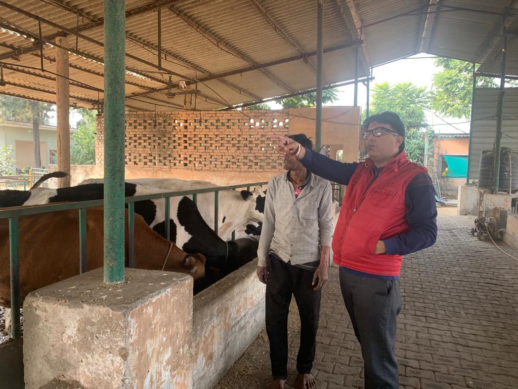 Kurukshetra Dairy Farm