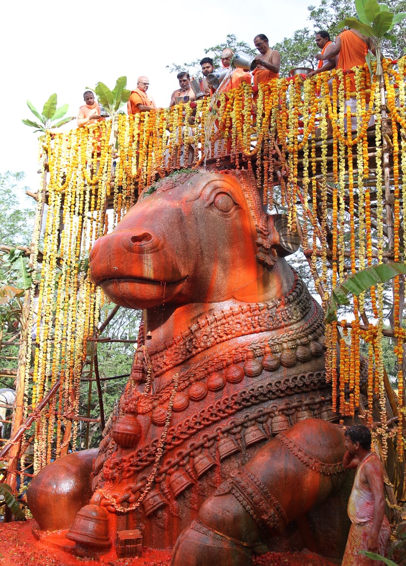 ಚಾಮುಂಡಿಬೆಟ್ಟದ ನಂದಿಗೆ ಮಹಾಭಿಷೇಕ