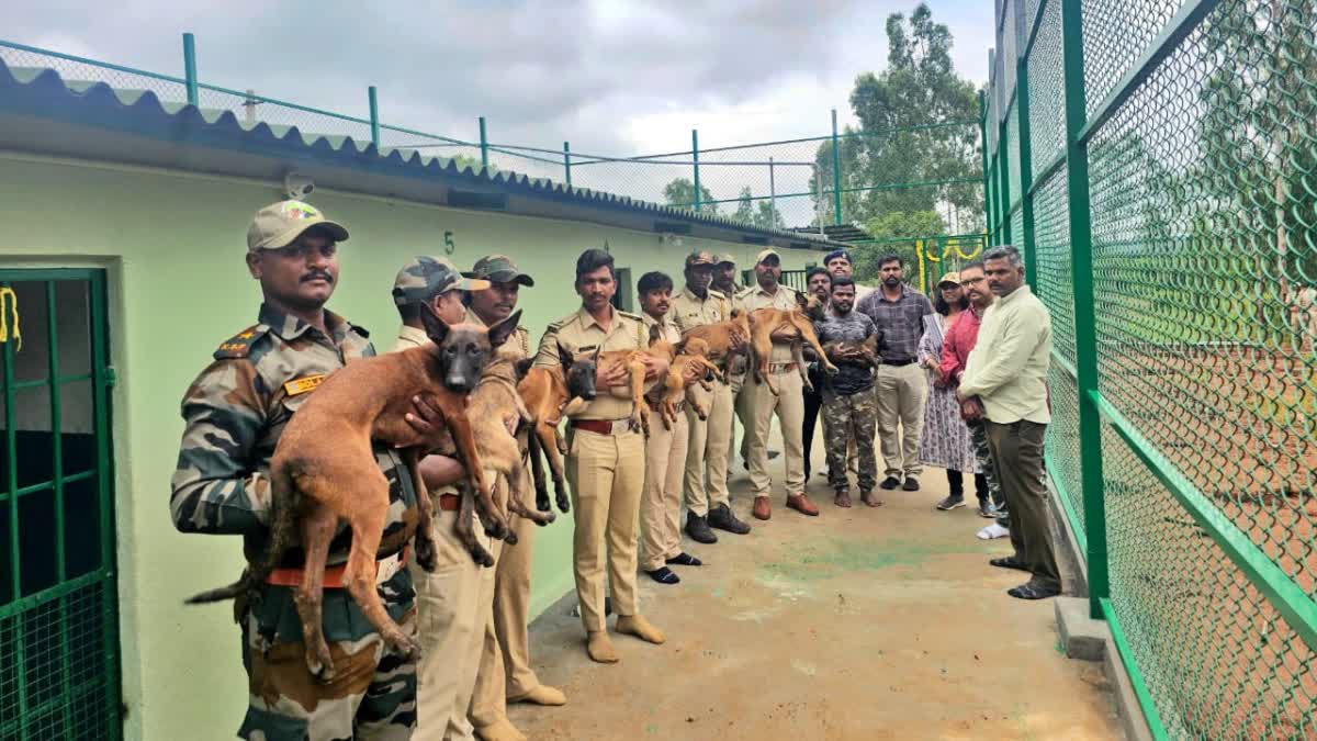 Trackers dog training center