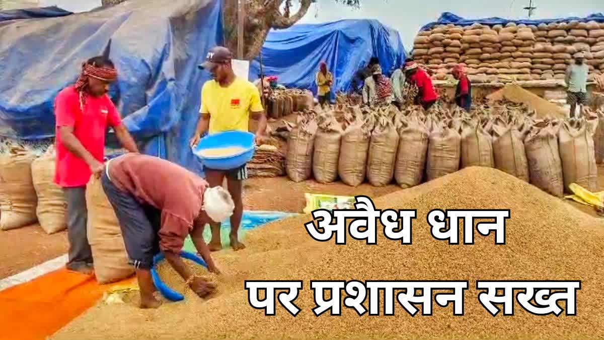 Illegal paddy seized in Balod